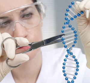 유전자 편집의 한 걸음 진전: CRISPR-Cas9와 HD
